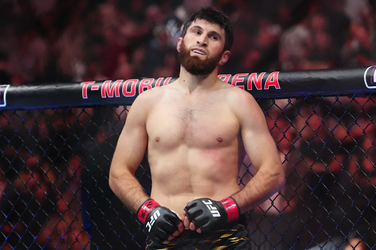Magomed Ankalaev vs. Khalil Rountree: Fight Preview and Odds