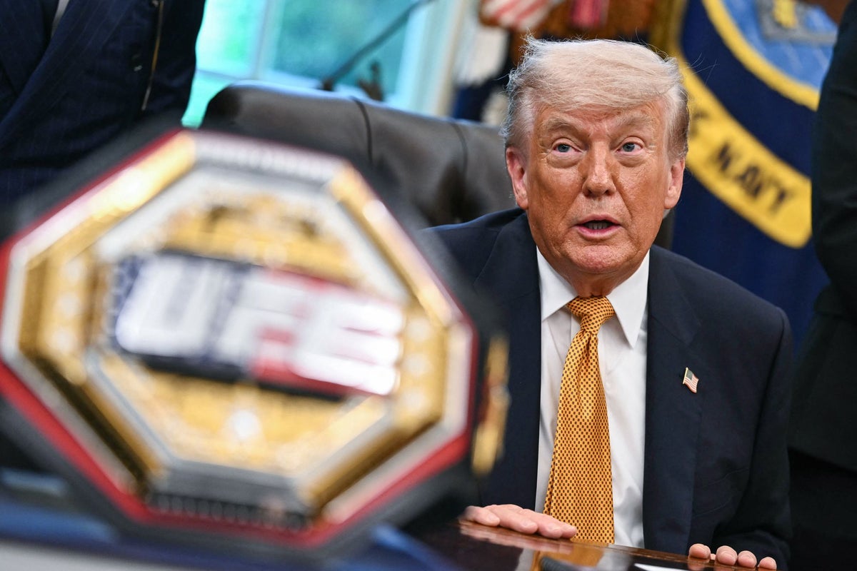 UFC Freedom 250: Unprecedented Fights at the White House